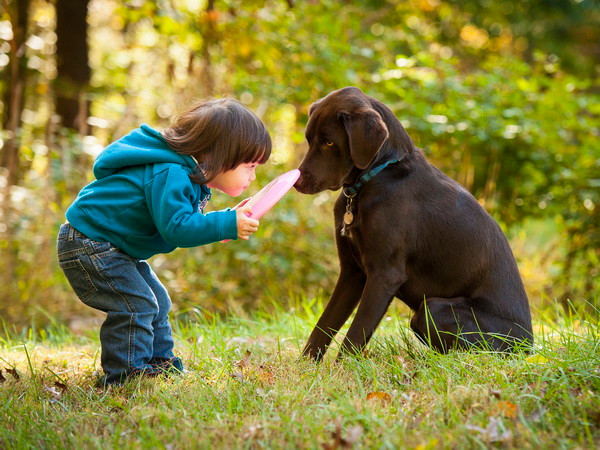 Phát hiện thú vị: Loài chó cũng biết ghen giống con người ảnh 1