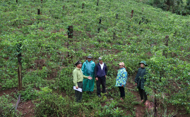 Chuyên gia: Dự thảo Luật Bảo vệ môi trường có nhiều bất cập ảnh 1