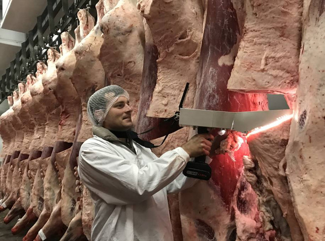 Nhật Bản nhân rộng công nghệ đánh giá thịt bò wagyu sử dụng AI ảnh 1