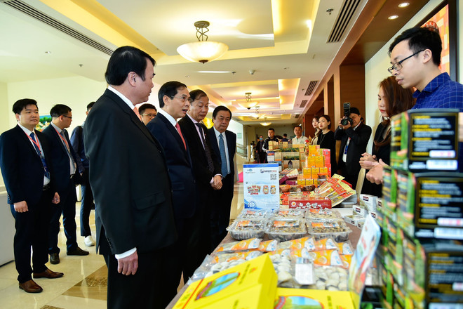 Ngoại giao kinh tế đóng góp tích cực vào phát triển đất nước ảnh 2