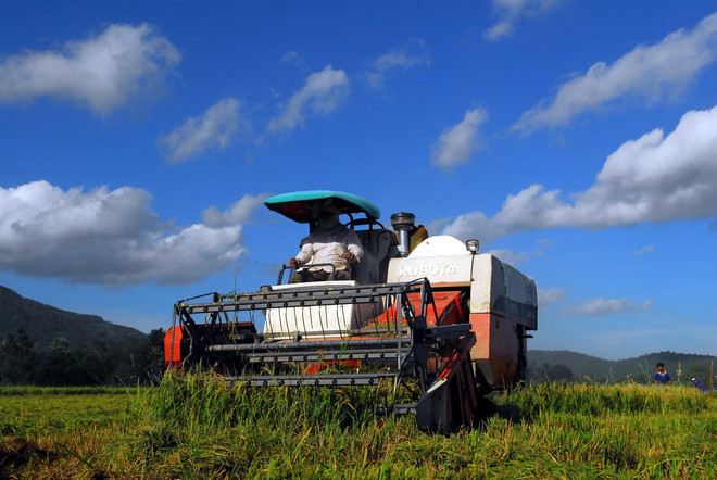 Nhật Bản tìm kiếm cơ hội đầu tư tại Đồng bằng sông Cửu Long ảnh 1