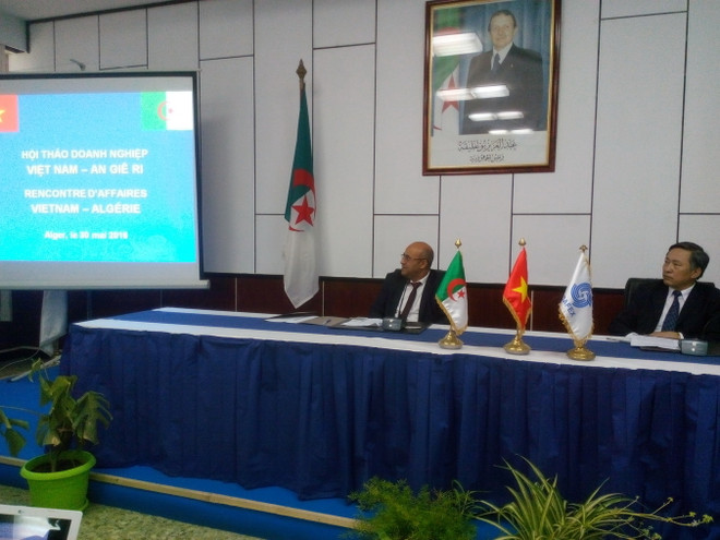 Hội thảo doanh nghiệp Việt Nam-Algeria. (Nguồn: Thanh Bình/Vietnam+) Việt Nam và Algeria tăng cường quan hệ hợp tác kinh tế-thương mại ảnh 1