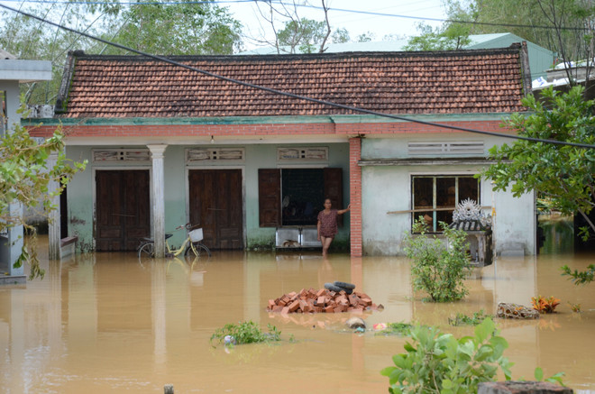 Bộ Y tế hỗ trợ các tỉnh miền Trung xử lý vệ sinh môi trường sau mưa lũ ảnh 1