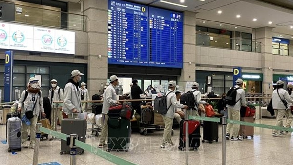 Việc tăng kiểm tra y tế ảnh hưởng đến nhiều lĩnh vực hợp tác Việt-Hàn ảnh 1