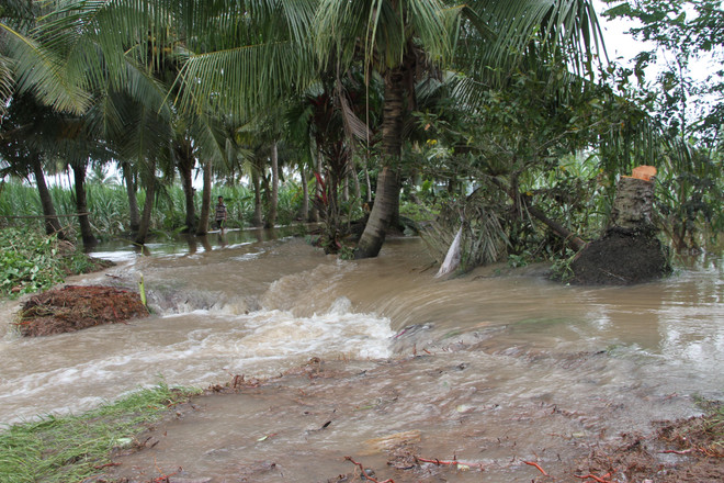 Sóc Trăng ngày càng chịu nhiều ảnh hưởng nghiêm trọng từ thiên tai ảnh 1