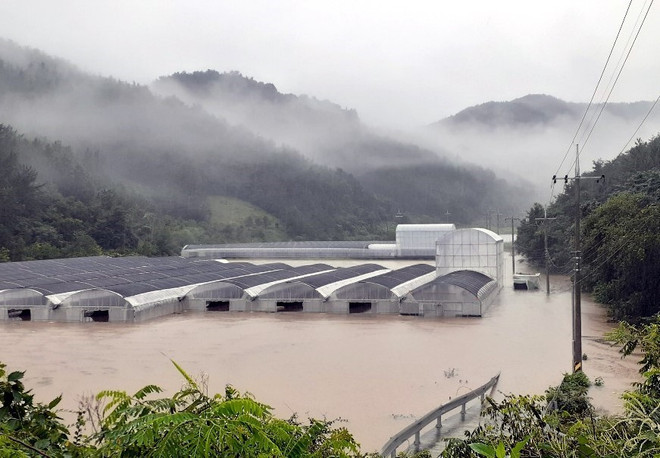 Hàn Quốc: Hàng nghìn người sơ tán, sống trong lều bạt do mưa lũ ảnh 1