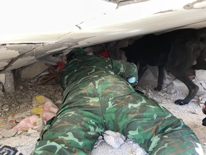 Những thành công của đội chó nghiệp vụ tìm kiếm cứu nạn QĐND Việt Nam ảnh 1