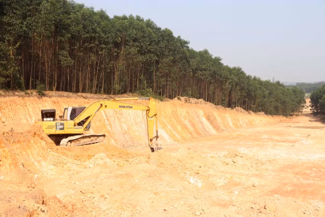 Doanh nghiệp tại Quảng Trị nhận khắc phục việc đào đất rừng trái phép ảnh 1