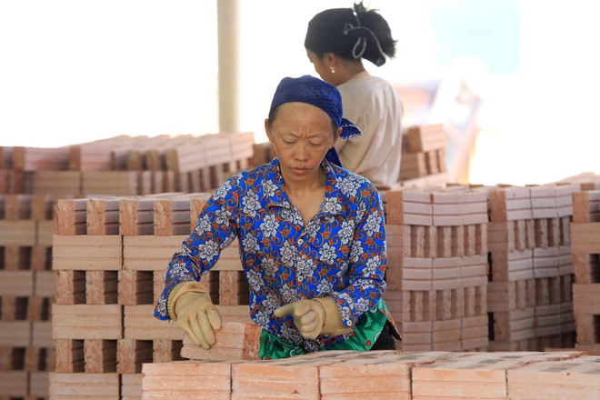 Hỗ trợ doanh nghiệp phục hồi sản xuất, tạo việc làm cho người lao động ảnh 2