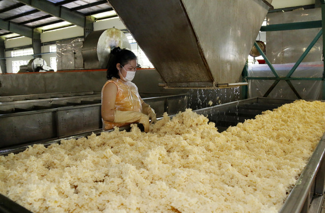 Lào đánh giá doanh nghiệp Việt Nam là những nhà đầu tư có trách nhiệm ảnh 2