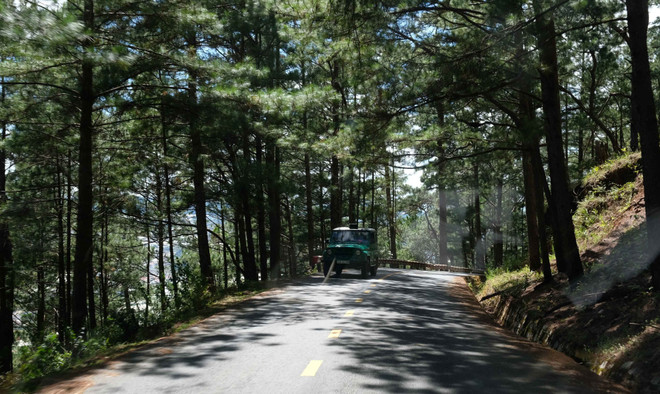 Lâm Đồng yêu cầu tạm dừng xe Uaz chở khách lên đỉnh Lang Biang ảnh 2