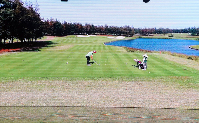 Tạm đình chỉ Phó Cục trưởng Cục Thuế vi phạm phòng chống dịch ảnh 1