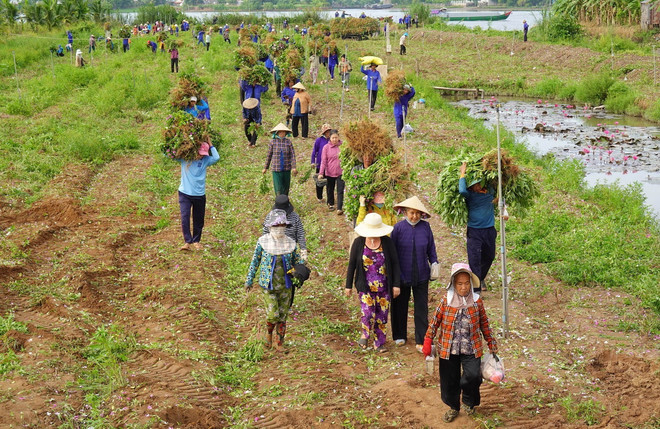 ttxvn_phat giao hoa hao 2.jpg