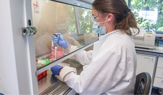 AstraZeneca nối lại thử nghiệm vắcxin ngừa COVID-19 ảnh 1