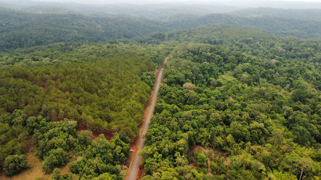 Hướng tới cộng đồng, thúc đẩy bảo vệ và phát triển rừng bền vững ảnh 3
