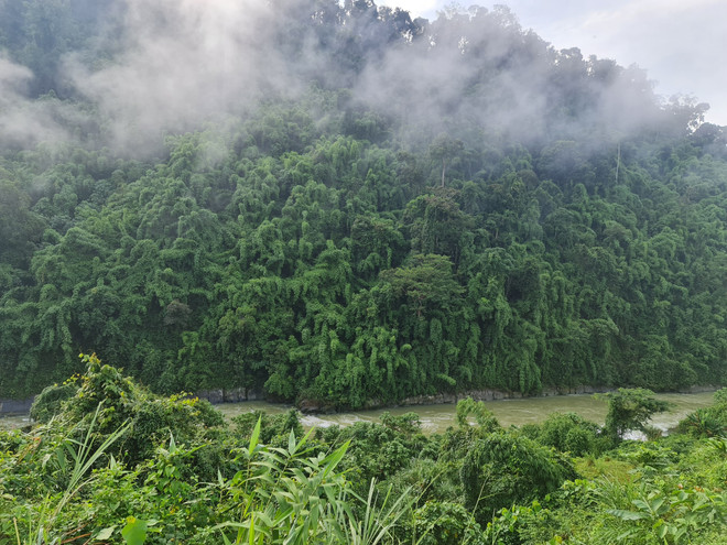 Hướng tới cộng đồng, thúc đẩy bảo vệ và phát triển rừng bền vững ảnh 1