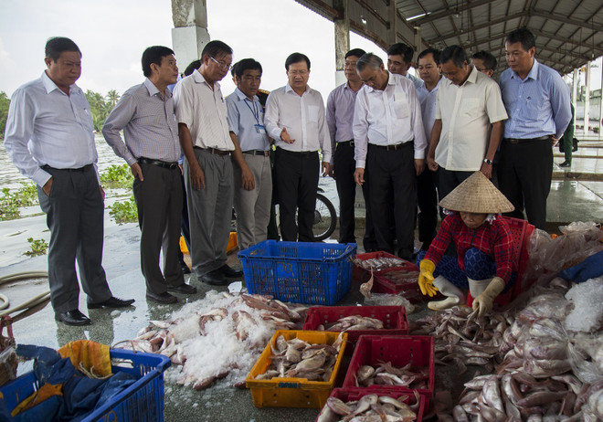 Phó Thủ tướng Trịnh Đình Dũng kiểm tra công tác khắc phục thẻ vàng IUU tại Kiên Giang. (Ảnh: Hồng Đạt/TTXVN) Việt Nam thực hiện hiệu quả các khuyến nghị của Ủy ban châu Âu về IUU ảnh 1