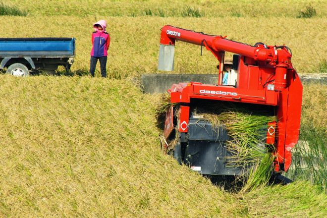 Hàn Quốc có kế hoạch chi 140 tỷ won mua gạo để bình ổn giá ảnh 1