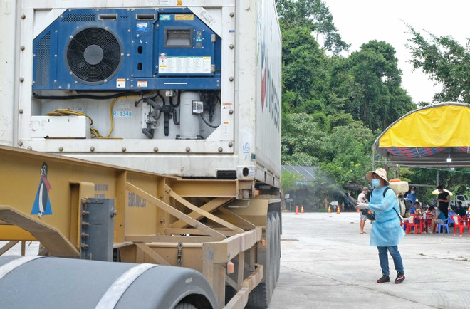 Bộ Giao thông Vận tải họp khẩn với 19 tỉnh phía Nam về tổ chức vận tải ảnh 2