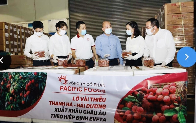 Vải thiều chinh phục thị trường EU, mở rộng thương hiệu nông sản Việt ảnh 1