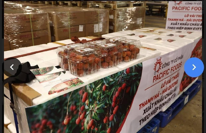 Vải thiều chinh phục thị trường EU, mở rộng thương hiệu nông sản Việt ảnh 2