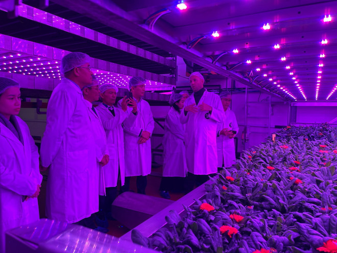 ttxvn_nong trai thang dung 2.jpg