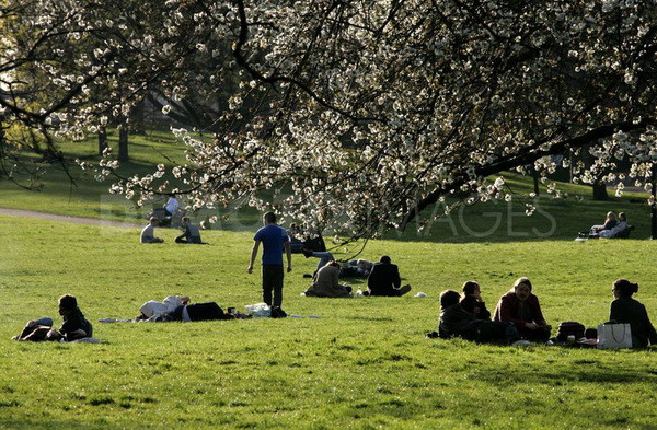 Vitamin D có thể giúp chống lại căn bệnh đa xơ cứng ảnh 1