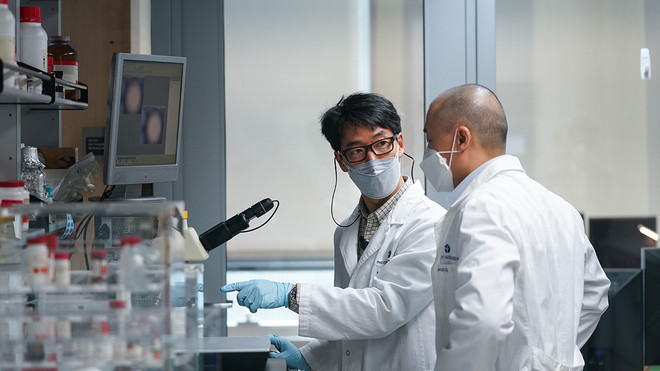 Các hãng dược phẩm Hàn Quốc tăng tốc trong cuộc đua với COVID-19 ảnh 1