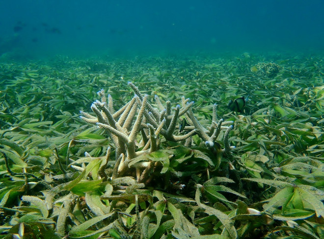 Việt Nam trao đổi kinh nghiệm và tìm kiếm cơ hội hợp tác tại Tanzania ảnh 2