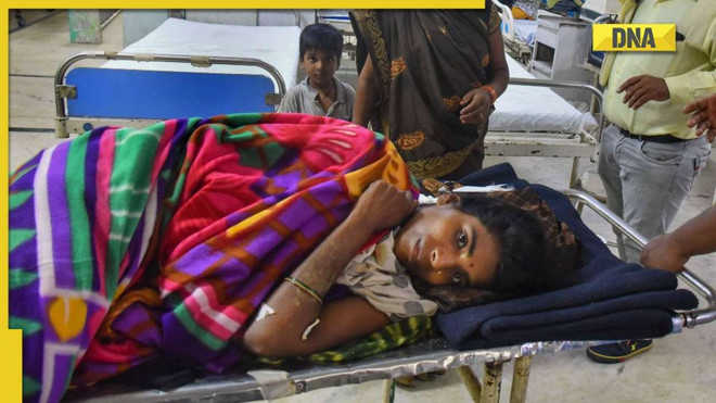 Người mẹ gan dạ tay không đánh hổ bảo vệ con nhỏ tại Ấn Độ ảnh 1