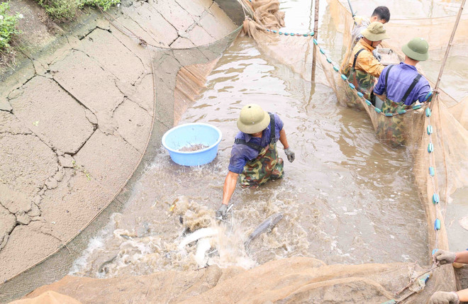 Không để tiềm năng, thế mạnh cửa ngõ phía Nam Thủ đô bị 'lãng quên' ảnh 2