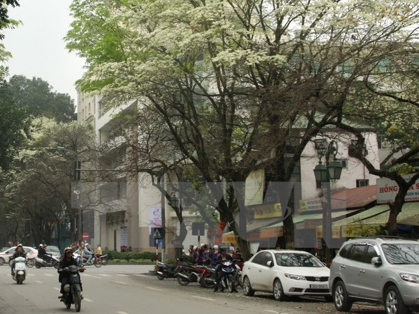 Thời tiết miền Bắc sẽ tốt dần lên trong một vài ngày tới ảnh 1