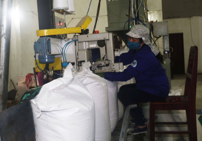 Vực dậy ngành mía đường trong nước: Sản xuất đang bị thu hẹp ảnh 2