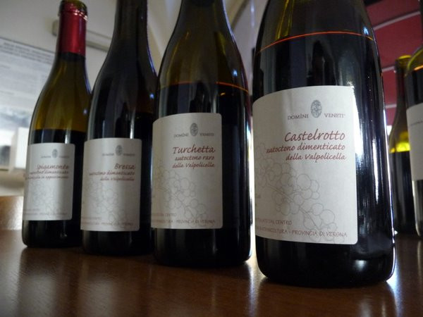 Italy thiệt hại 60 tỷ euro do thực phẩm nhái thương hiệu ảnh 1