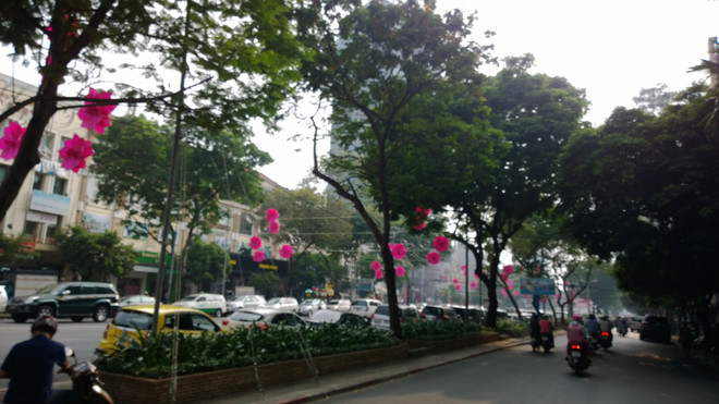 TP. HCM giữ nguyên khung giá đất hiện hành cho giai đoạn 2020-2024 ảnh 1