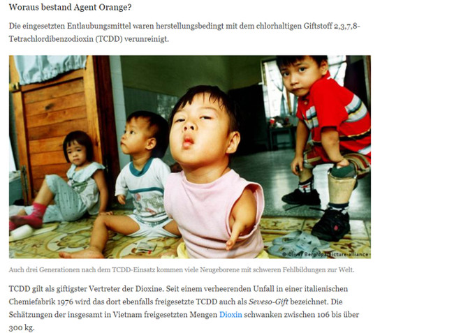 Truyền thông Đức nhận định về vụ kiện lịch sử của bà Trần Tố Nga ảnh 2