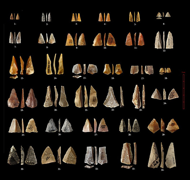 Người tinh khôn Homo sapiens xuất hiện ở châu Âu sớm hơn dự đoán ảnh 2