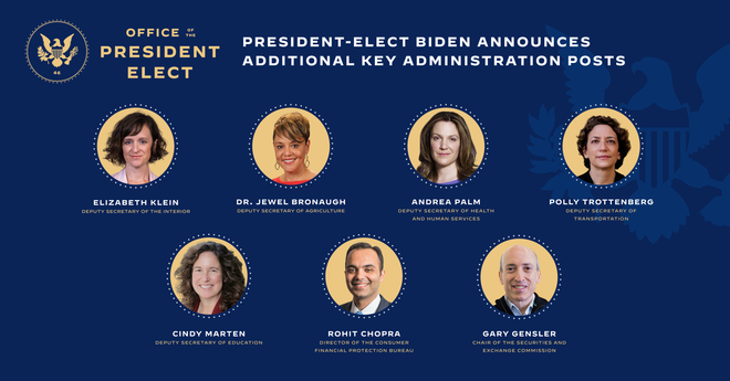 Tổng thống đắc cử Mỹ hoàn thiện bộ máy nội các trước khi nhậm chức ảnh 1