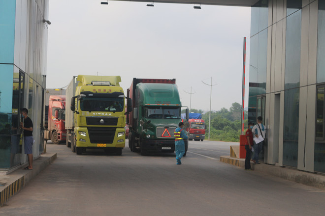 Thông tin gấp với doanh nghiệp xuất khẩu thực phẩm vào Trung Quốc ảnh 1