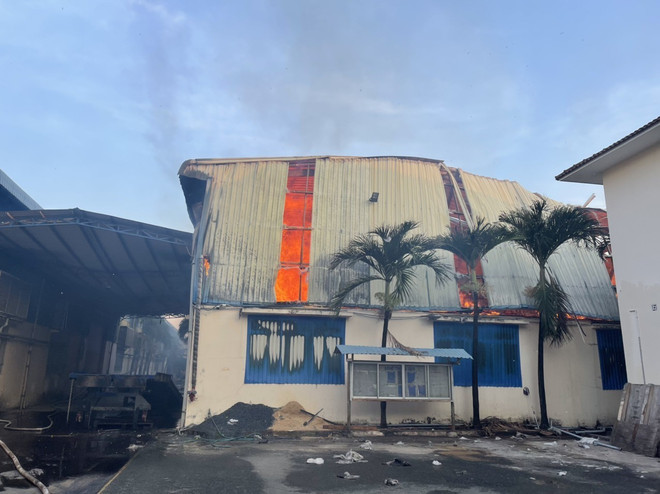 Bình Dương: Khống chế cháy lan tại một công ty trong cụm sản xuất ảnh 1