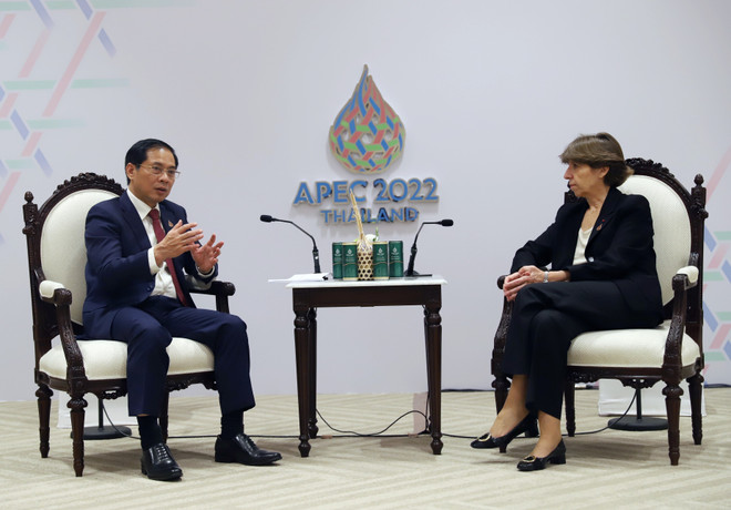 Việt Nam - Dấu ấn 25 năm đậm nét trong tiến trình phát triển của APEC ảnh 5