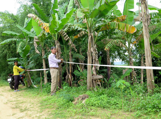 Bình Định: Người dân sống thấp thỏm do nguy cơ sạt lở bờ sông ảnh 2