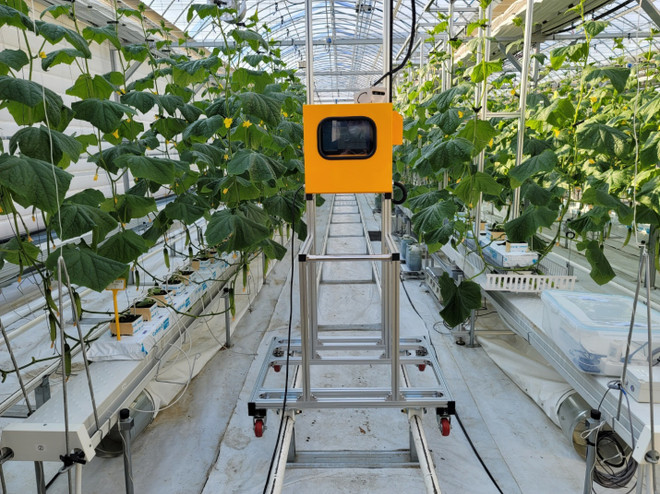 Dongwoo Optron và DAON C&T giới thiệu sản phẩm mới tại Entech Vietnam ảnh 2