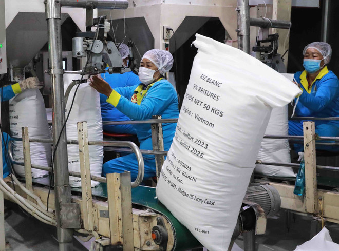 Doanh nghiệp chế biến xuất khẩu gạo thuộc tỉnh Tiền Giang. (Ảnh: Vũ Sinh/TTXVN) Giá gạo xuất khẩu của Việt Nam tăng trở lại sau 1 tuần hạ nhiệt ảnh 1
