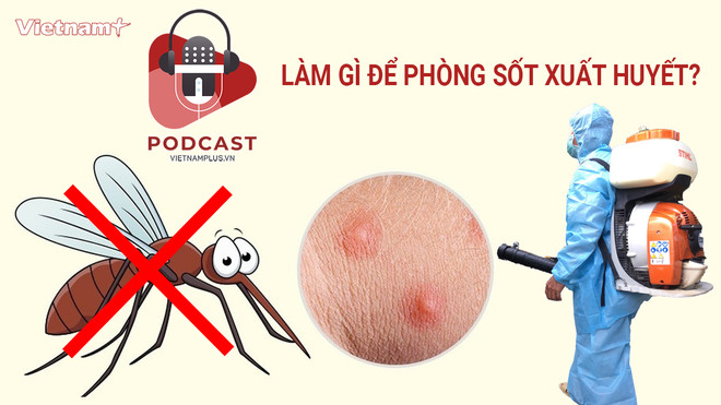 [Audio] Đề phòng dịch sốt xuất huyết trong thời điểm dịch COVID-19 ảnh 1