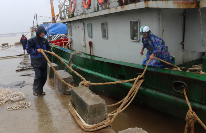 Quảng Trị, Phú Yên chủ động ứng phó với diễn biến áp thấp nhiệt đới ảnh 2