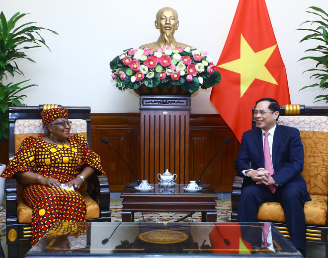 Bộ trưởng Ngoại giao Bùi Thanh Sơn tiếp Tổng Giám đốc Tổ chức Thương mại thế giới (WTO) Ngozi Okonjo-Iweala. (Ảnh: Lâm Khánh/TTXVN) Việt Nam nằm trong 20 nền kinh tế thương mại quốc tế hàng đầu thế giới ảnh 3