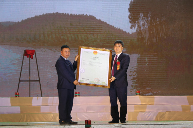 Yên Bái: Lễ hội bưởi Đại Minh và khám phá danh thắng hồ Thác Bà 2019 ảnh 2