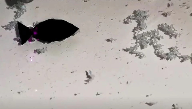 Trung Quốc phát triển robot cá có thể "ăn" vi nhựa trong đại dương ảnh 1