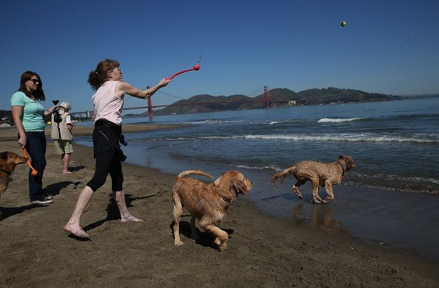 [Photo] Mỹ: Nắng nóng gần chạm ngưỡng kỷ lục 40 độ C ảnh 4